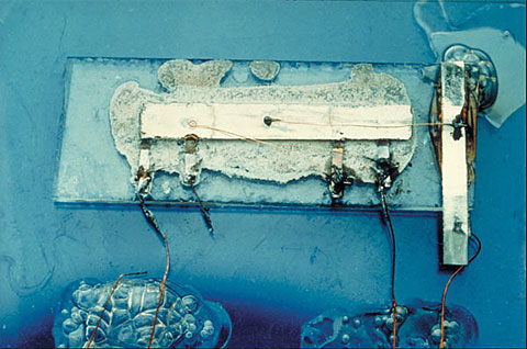 moreslaw_ic01.jpg